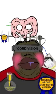 htsm_cord_vision.png
