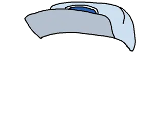 soysneed's hat.png