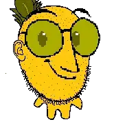 pineapplemicropenis.png