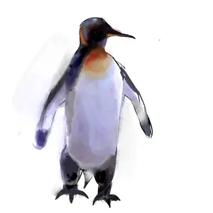 okay.png