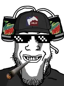 mlgsheeit.png