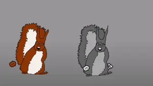 dueueueeuueusuasu [73D9AFF].mp4