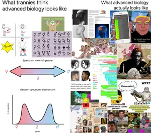 ab5e0425-4f77-4ba4-b674-911097577a8e.png