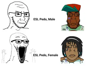 True.png