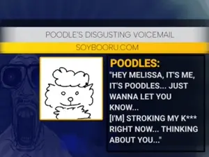 poodle_voicemail.mp4