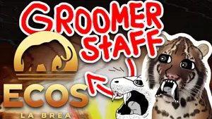 ECOS thumbnail2.png