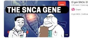 sncaa.png