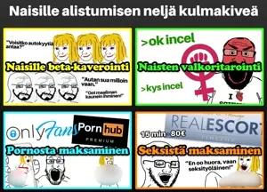 wojak, markiplier soyjak, soyak, science lover, soyak (crazed), censored, closed mouth, crazed, female, finnish text
