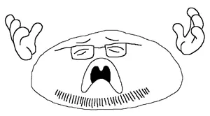 slf.jpg