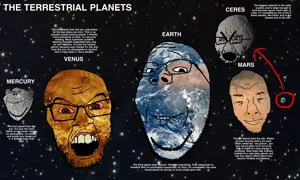image1 (12).png