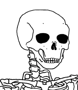 yy.png