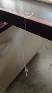 Hanging.mp4