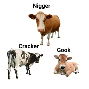 THE COW TRIO.png