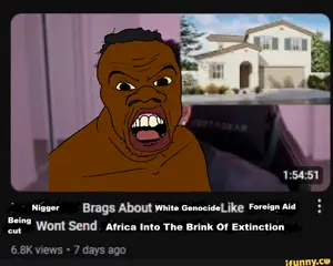 niggerforeignaid.png