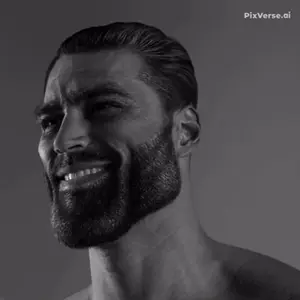 1789164176357.gif