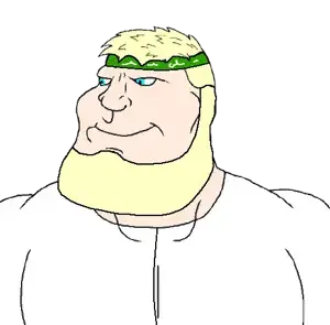 muslimaryan.png