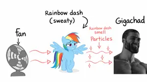 37e26980-d666-4b02-a892-dde073064def.png
