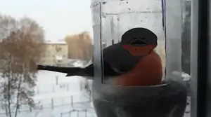 Untitled717_20260913191311.png