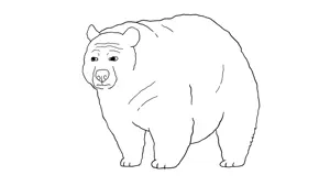 Bearjak.png
