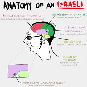 anatomy of an israeli.png