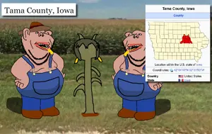 1788356114118i.png