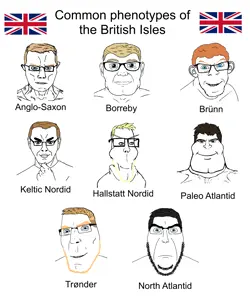 british phenotypes.png
