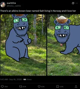 Saltbear.png
