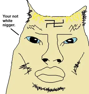 pussyniggaaryan.png