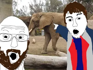 me at the zoo soyjaks.png