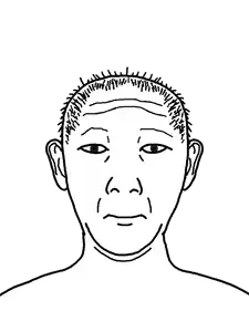 kuzjak, kuzjak front, 1soyjak, closed mouth, ear, front view, hair, looking at you, neutral, short hair