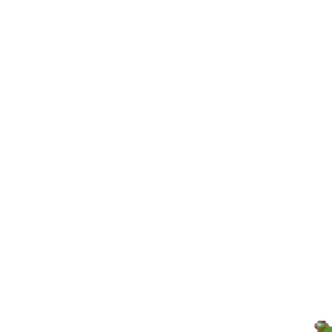 IMG_9737.gif