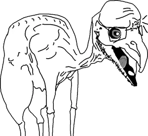 nuo.png