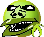 fixedkiwi.png