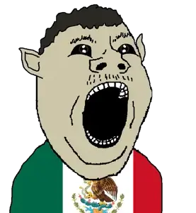 mexipork hair and skin.png
