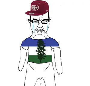 chudjak, chudjak front, 1soyjak, almost full body, arm, black hair, cap, cascadia, closed eyes, closed mouth