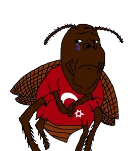 turkroach4.png