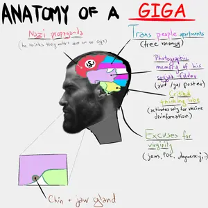 1785178678288d.png