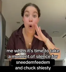 Sneeddepression.mp4