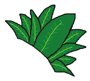 pinaple 1.png