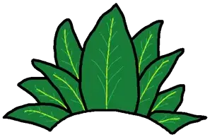 pinaple 2.png