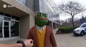 1757475835625q.mp4
