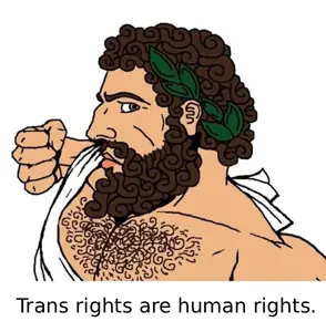 293511 - soybooru.com - beard brown_hair buff fist hair looking_at_you nas_focus no not_oc punch punching roman rome smash smashing white_background white_skin yes_chad.png