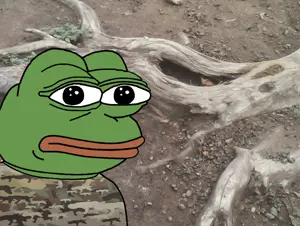 pepe, amphibian, animal, bald, black eyes, camo shirt, closed mouth, dnb, green skin, irl background