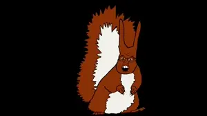 nuts.mp4