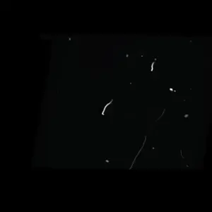 RAyUyt_XkSil5Y99.mp4