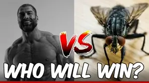 gigachad, 1nas, animal, battle, black hair, buff, bug, fly, gray background, hair