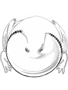 uncolored_evanfrog.png