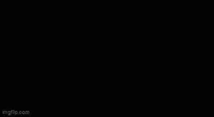 IMG_8222.gif