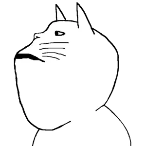 sidemeowjak.png