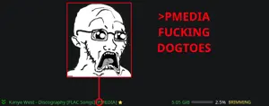 DOCTOSTORRENT.png
